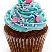 cupcake-bleu-et-rose-copie