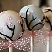 izmir popcake (21)
